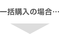 一括購入の場合…